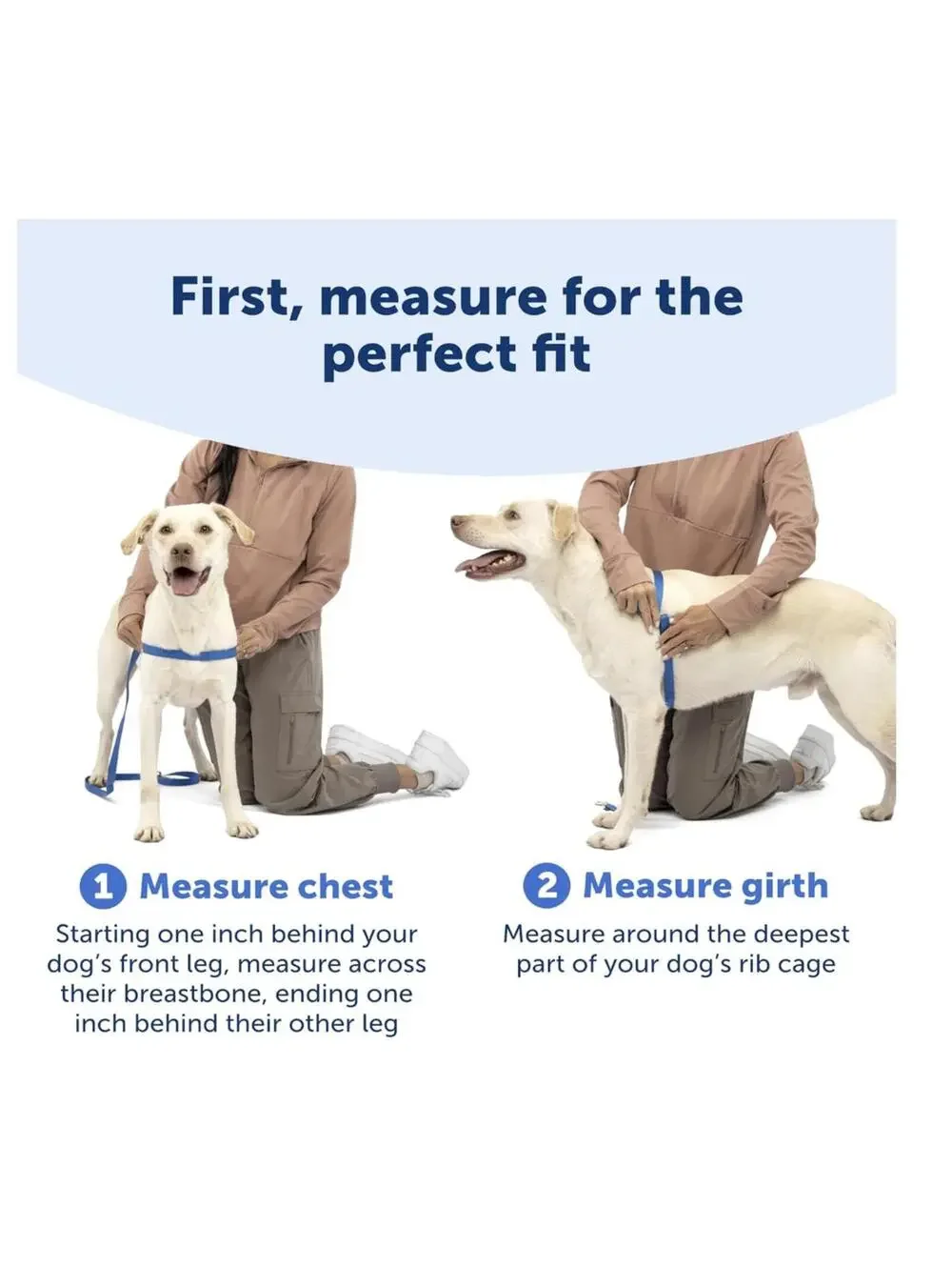 M/L PetSafe Easy Walk No-Pull Dog Harness Control & Teach Better Leash Manners